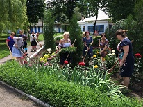 Субботник (10 июня 2016 г.)