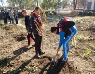 Древонасаждение (16-17.10.2015)