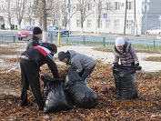 Общелицейский Субботник (16.11.2012)